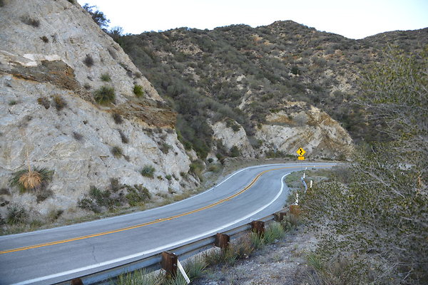 DSC 1478