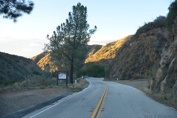 DSC 1650