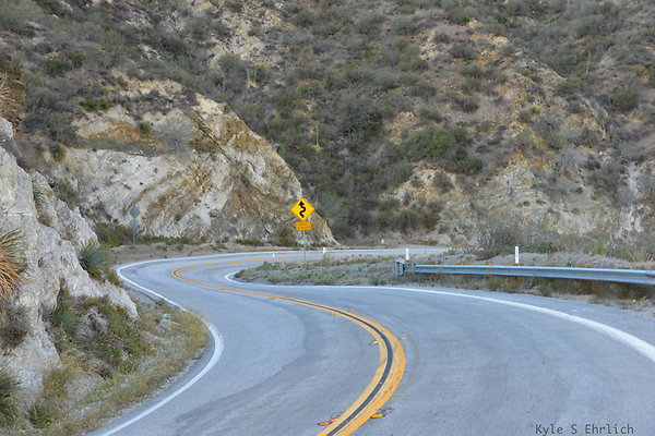 DSC 1437