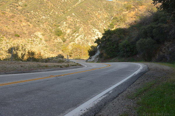 DSC 1341