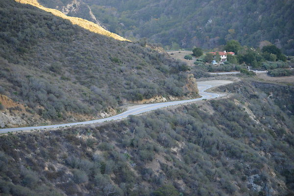 DSC 1445
