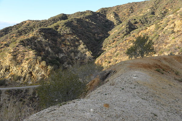 DSC 1309