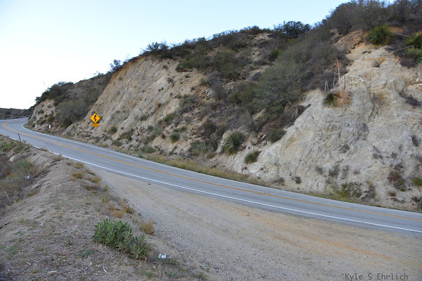 DSC 1527
