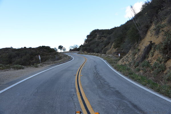 DSC 1397