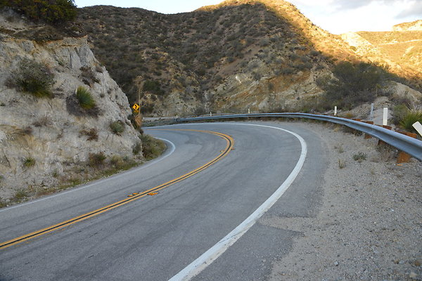 DSC 1432