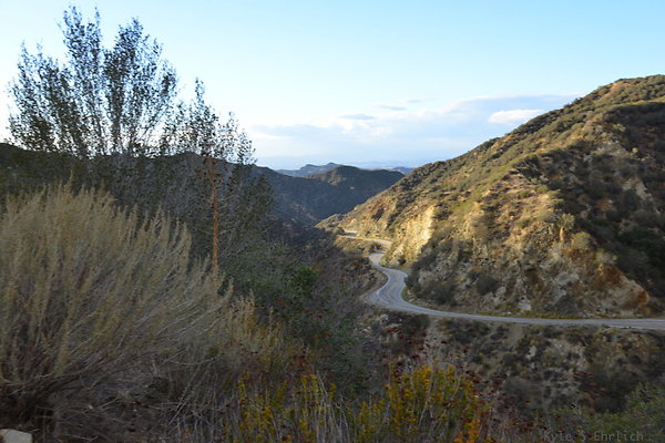 DSC 1369