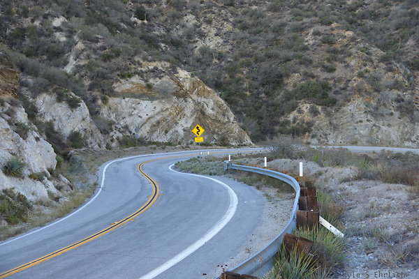 DSC 1458
