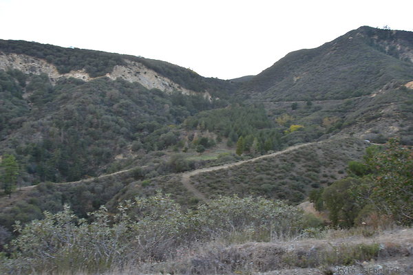 DSC 1389