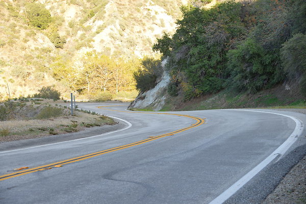 DSC 1348