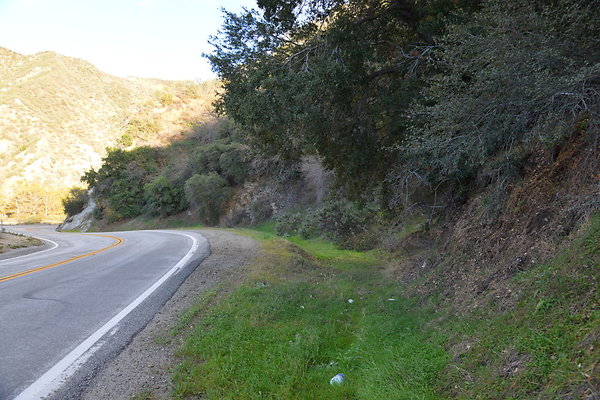 DSC 1351