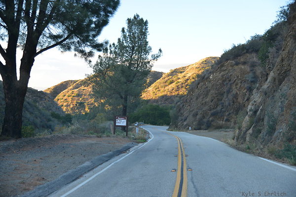 DSC 1649