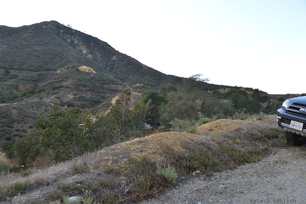 DSC 1390