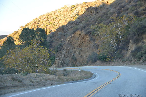 DSC 1645