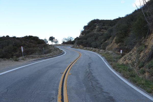 DSC 1398