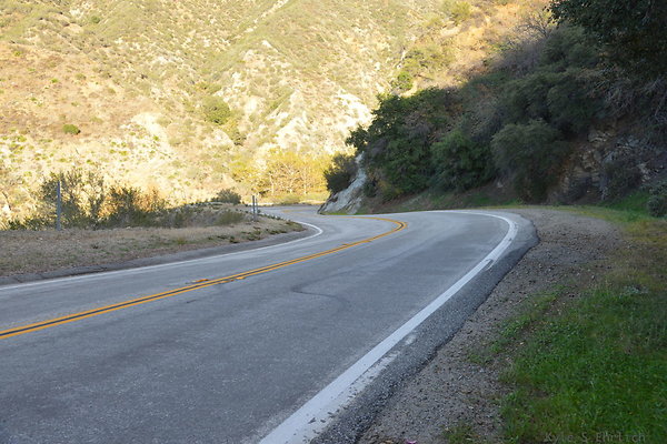 DSC 1346