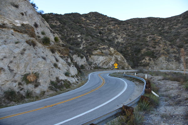 DSC 1461