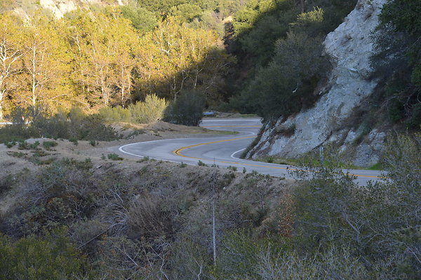 DSC 1362