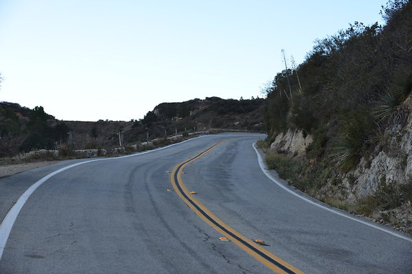 DSC 1421