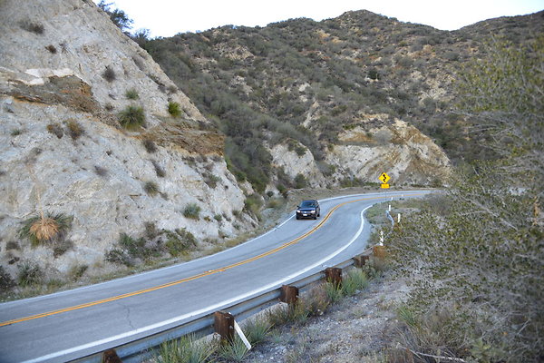 DSC 1490