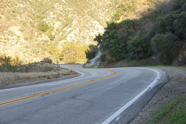 DSC 1347