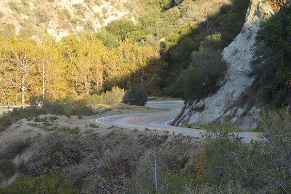 DSC 1356