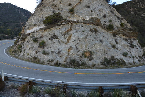 DSC 1477