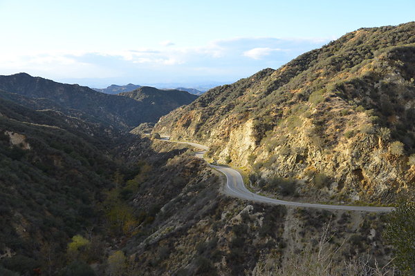 DSC 1312