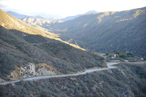 DSC 1443