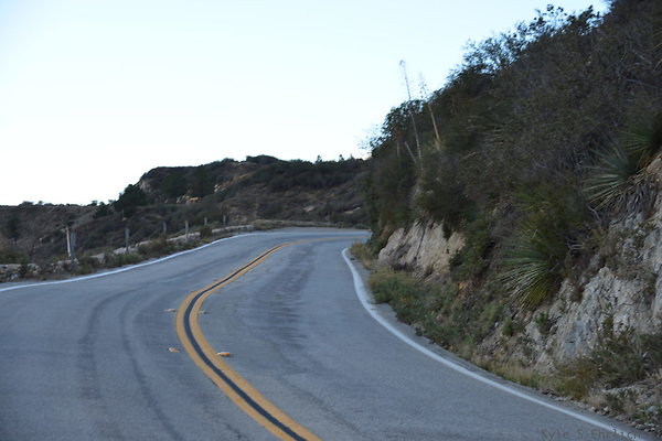 DSC 1422