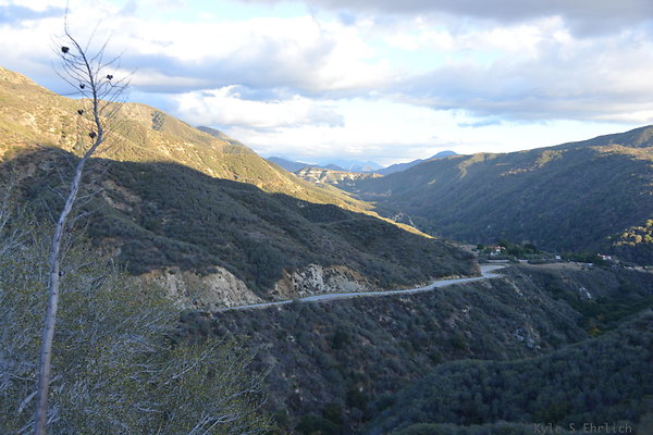 DSC 1447
