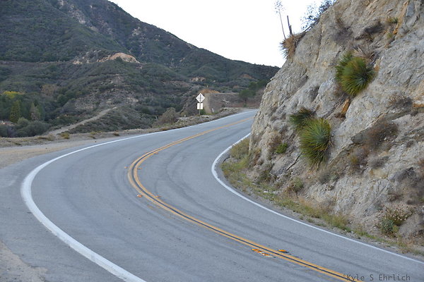DSC 1509