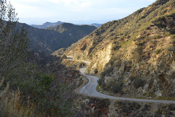 DSC 1367