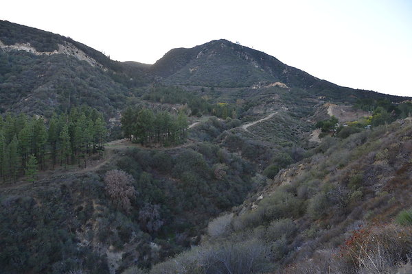 DSC 1525