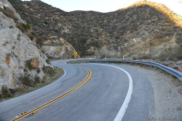 DSC 1435