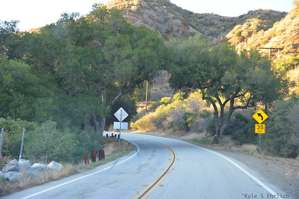 DSC 1665