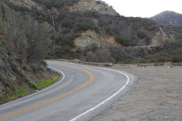DSC 1331