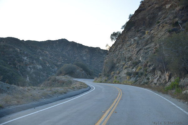 DSC 1612