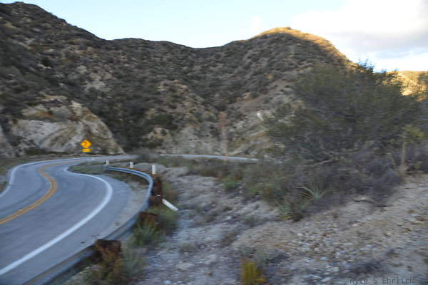 DSC 1462