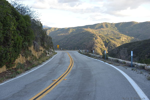 DSC 1383