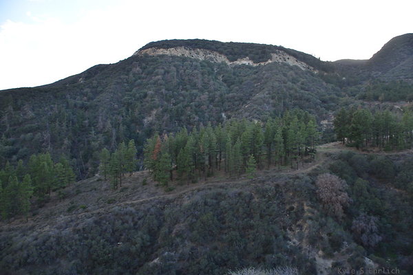 DSC 1524