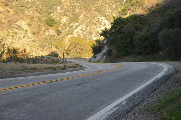 DSC 1342