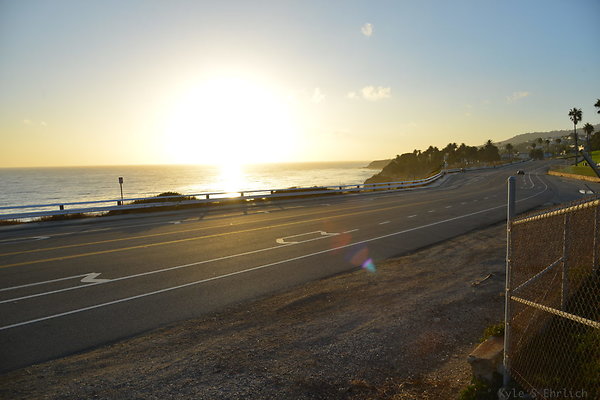 DSC 5478