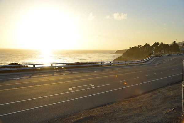 DSC 5479