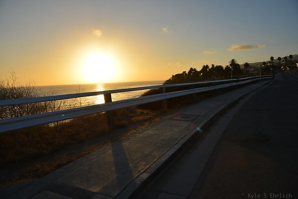 DSC 5508