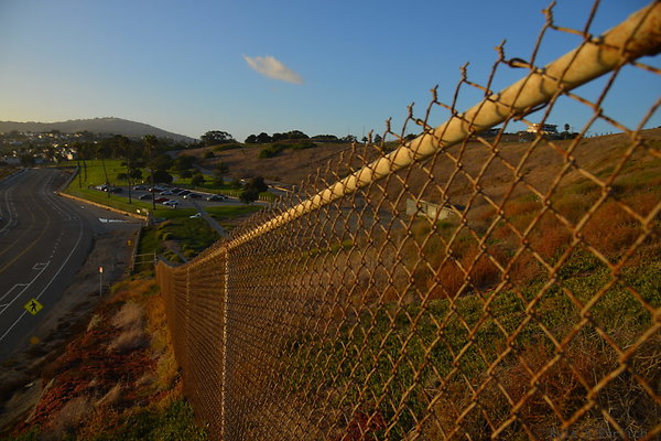 DSC 5465