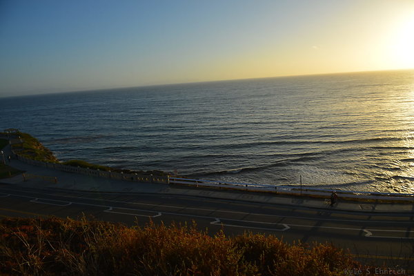 DSC 5441