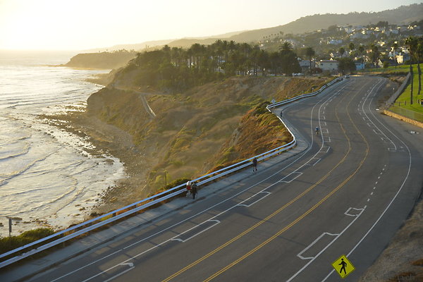 DSC 5462