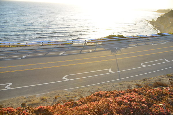 DSC 5397