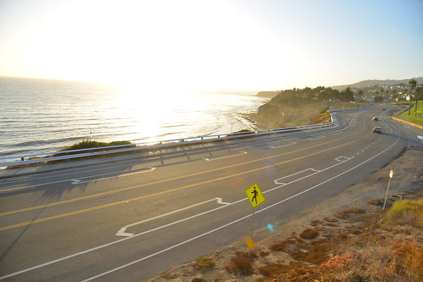 DSC 5391