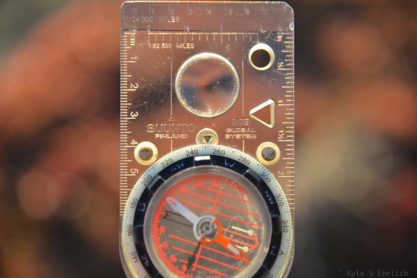 DSC 5432